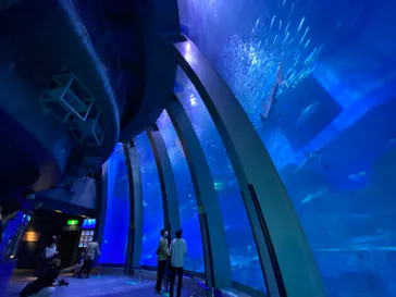 横浜・八景島シーパラダイスに投稿された画像（2021/6/11）