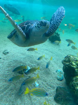 横浜・八景島シーパラダイスに投稿された画像（2021/6/11）