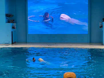 横浜・八景島シーパラダイスに投稿された画像（2021/6/11）