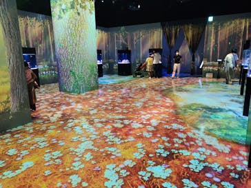 マクセル アクアパーク品川に投稿された画像（2021/6/11）