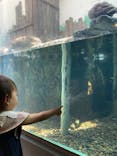 しながわ水族館に投稿された画像（2021/6/12）