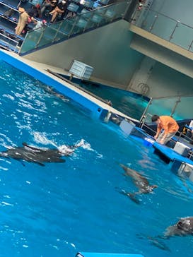 マクセル アクアパーク品川に投稿された画像（2021/6/12）