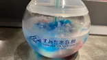 すみだ水族館に投稿された画像（2021/6/12）