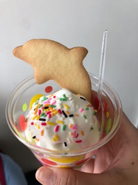 新江ノ島水族館に投稿された画像（2021/6/12）