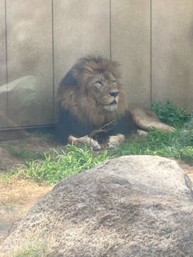 東武動物公園に投稿された画像（2021/6/12）