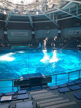 マクセル アクアパーク品川に投稿された画像（2021/6/12）