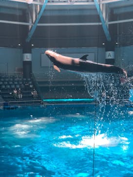 マクセル アクアパーク品川に投稿された画像（2021/6/12）