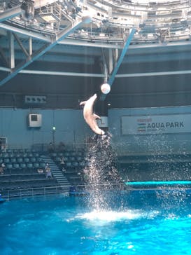 マクセル アクアパーク品川に投稿された画像（2021/6/12）