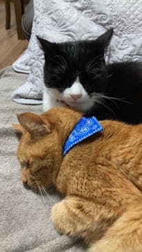 田畑硝子工房に投稿された画像（2021/6/12）