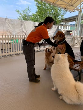 那須どうぶつ王国に投稿された画像（2021/6/12）