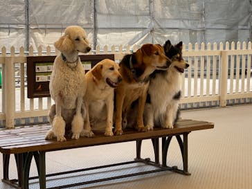 那須どうぶつ王国に投稿された画像（2021/6/12）