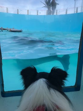 京急油壺マリンパークに投稿された画像（2021/6/12）