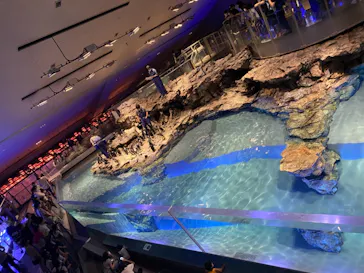 すみだ水族館に投稿された画像（2021/6/12）