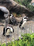 サンシャイン水族館に投稿された画像（2021/6/12）