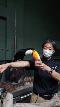 カワスイ 川崎⽔族館に投稿された画像（2021/6/12）