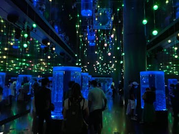 マクセル アクアパーク品川に投稿された画像（2021/6/12）