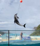 下田海中水族館に投稿された画像（2021/6/12）