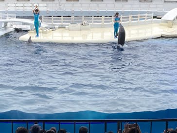 京都水族館に投稿された画像（2021/6/12）