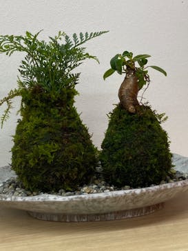 伊勢夫婦岩めおと横丁　めおと岩アクティビティに投稿された画像（2021/6/12）