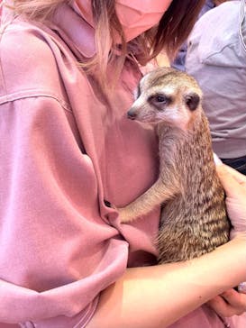 原宿かわいい動物園に投稿された画像（2021/6/12）