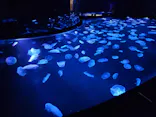 すみだ水族館に投稿された画像（2021/6/13）