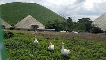 伊豆シャボテン動物公園に投稿された画像（2021/6/12）