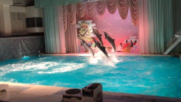 京急油壺マリンパークに投稿された画像（2021/6/13）