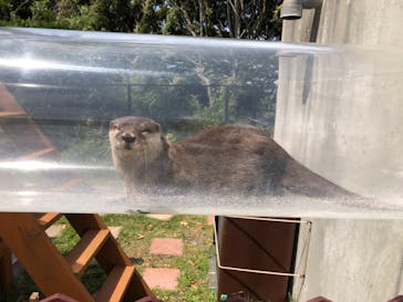 京急油壺マリンパークに投稿された画像（2021/6/13）