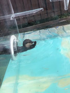 京急油壺マリンパークに投稿された画像（2021/6/13）