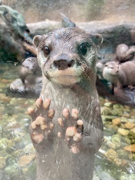 神戸どうぶつ王国に投稿された画像（2021/6/13）