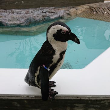 マリンワールド海の中道に投稿された画像（2021/6/13）