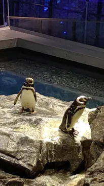 すみだ水族館に投稿された画像（2021/6/13）