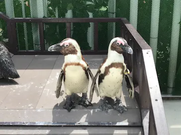 横浜・八景島シーパラダイスに投稿された画像（2021/6/13）