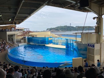 新江ノ島水族館に投稿された画像（2021/6/13）