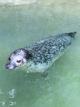 那須どうぶつ王国に投稿された画像（2021/6/13）