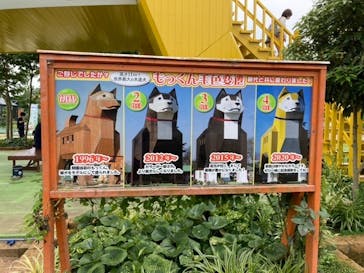 つくばわんわんランドに投稿された画像（2021/6/13）