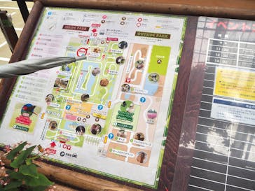 神戸どうぶつ王国に投稿された画像（2021/6/13）