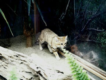 神戸どうぶつ王国に投稿された画像（2021/6/13）