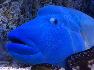 すみだ水族館に投稿された画像（2021/6/13）