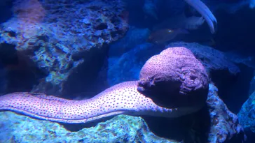 すみだ水族館に投稿された画像（2021/6/13）