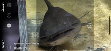 カワスイ 川崎⽔族館に投稿された画像（2021/6/13）