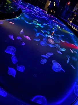 すみだ水族館に投稿された画像（2021/6/13）