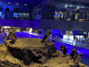 すみだ水族館に投稿された画像（2021/6/13）