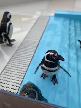 株式会社Gに投稿された画像（2021/6/13）