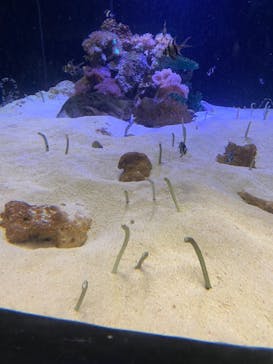 株式会社Gに投稿された画像（2021/6/13）