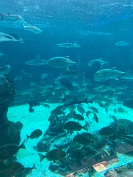 株式会社Gに投稿された画像（2021/6/13）