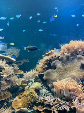 株式会社Gに投稿された画像（2021/6/13）