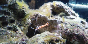 京都水族館に投稿された画像（2021/6/13）