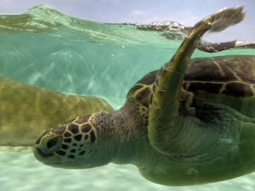 マリンワールド海の中道に投稿された画像（2021/6/14）