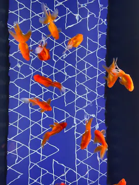 すみだ水族館に投稿された画像（2021/6/14）